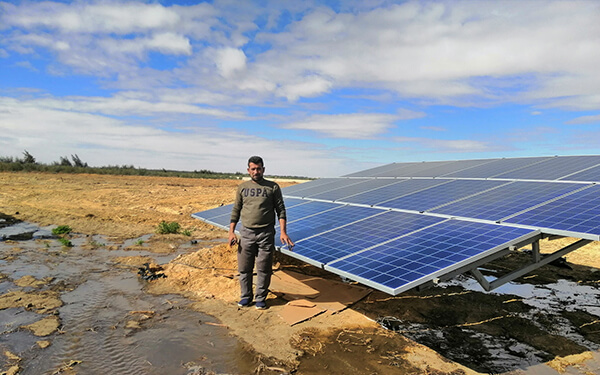 Inversor de bomba de agua solar de 15kW en Fayum, Egipto