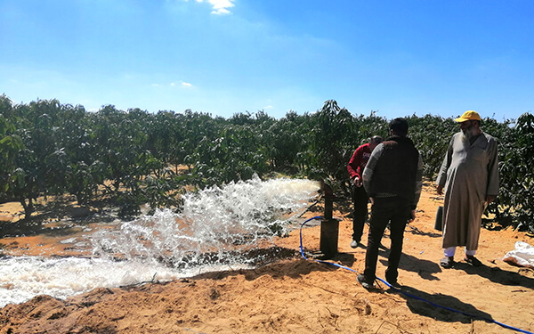 Inversor de bomba de agua solar de 18kW en Asuán, Egipto